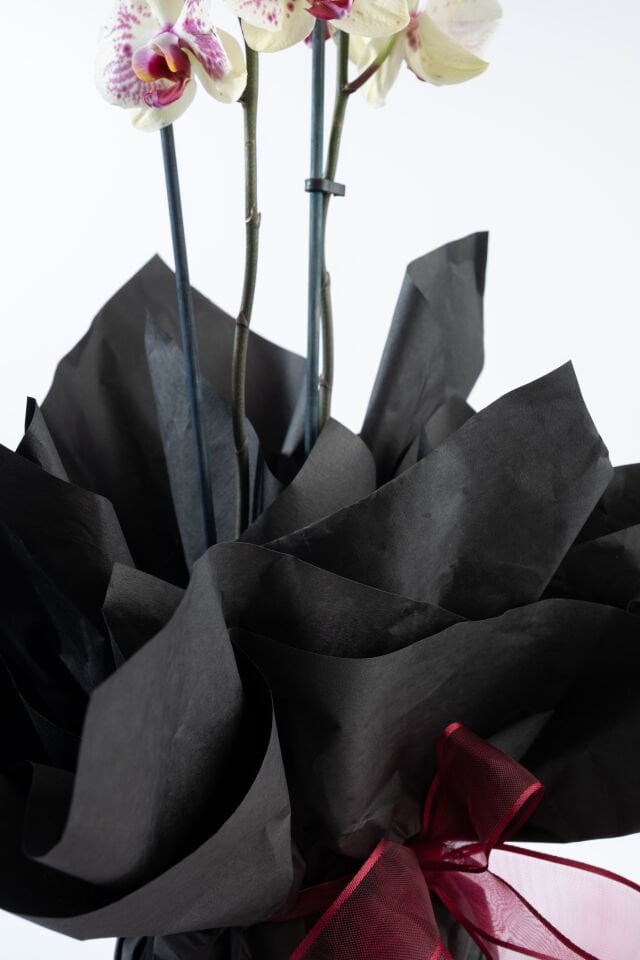 Lily Buketlik Kağıt